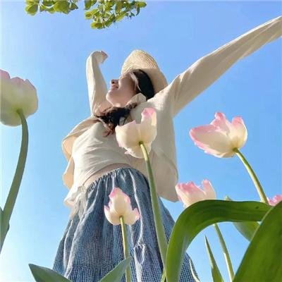 比尔和泰德历险记